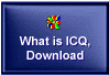  More about ICQ 