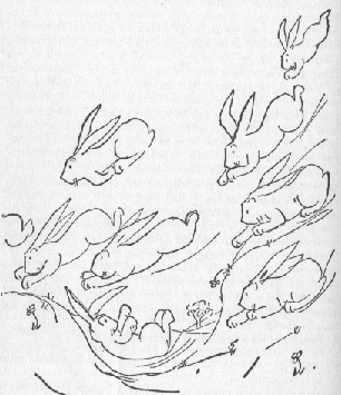 [picture of running rabbits]